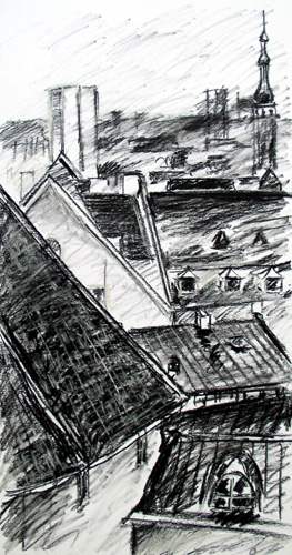 Roof Study in Charcol